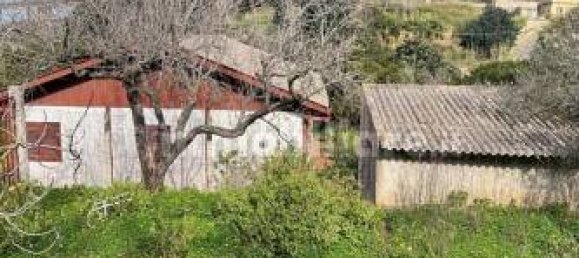 3 Schlafzimmer Villa in Messina, Italy, Nr. 38288 4