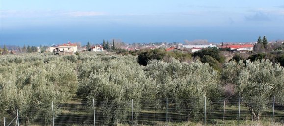 3 Schlafzimmer Gewerbliche Immobilie in Pieria, Greece, Nr. 2361 6