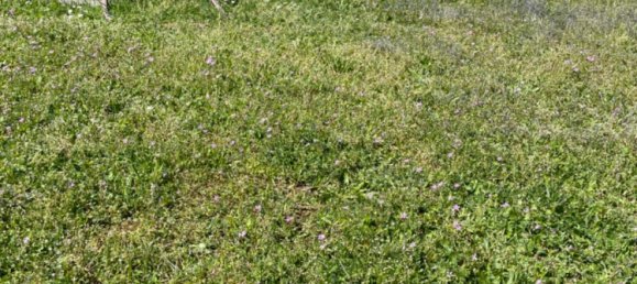  Land in Dahme-Spreewald, Germany No. 361112 2