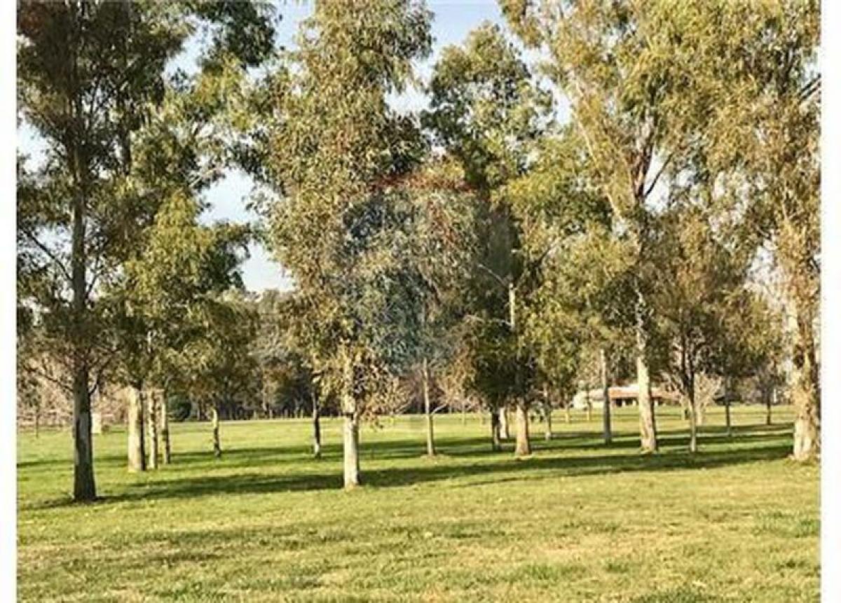 Grundstück in Buenos Aires, Argentina, Nr. 112633