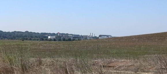 69760m² Land in Santarem, Portugal No. 144597 19