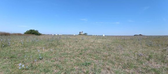 69760m² Land in Santarem, Portugal No. 144597 21