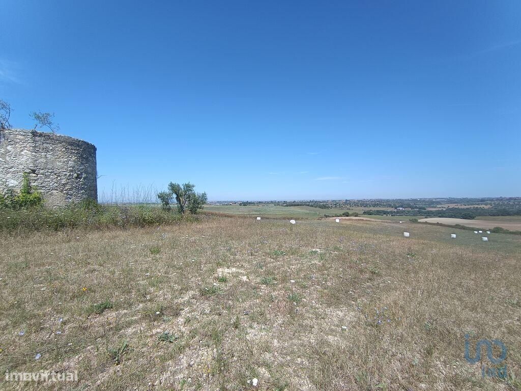 69760m² Land in Santarem, Portugal No. 144597