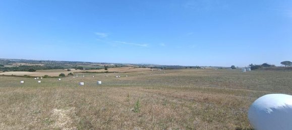 69760m² Land in Santarem, Portugal No. 144597 10