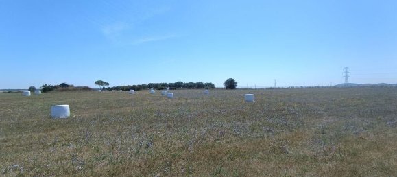 69760m² Land in Santarem, Portugal No. 144597 16