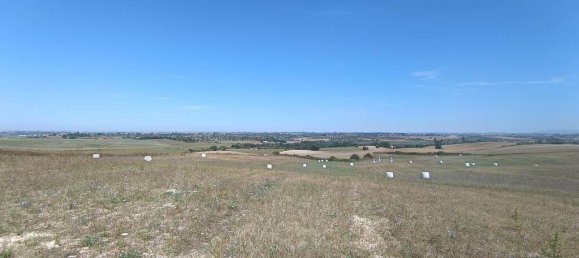 69760m² Land in Santarem, Portugal No. 144597 17