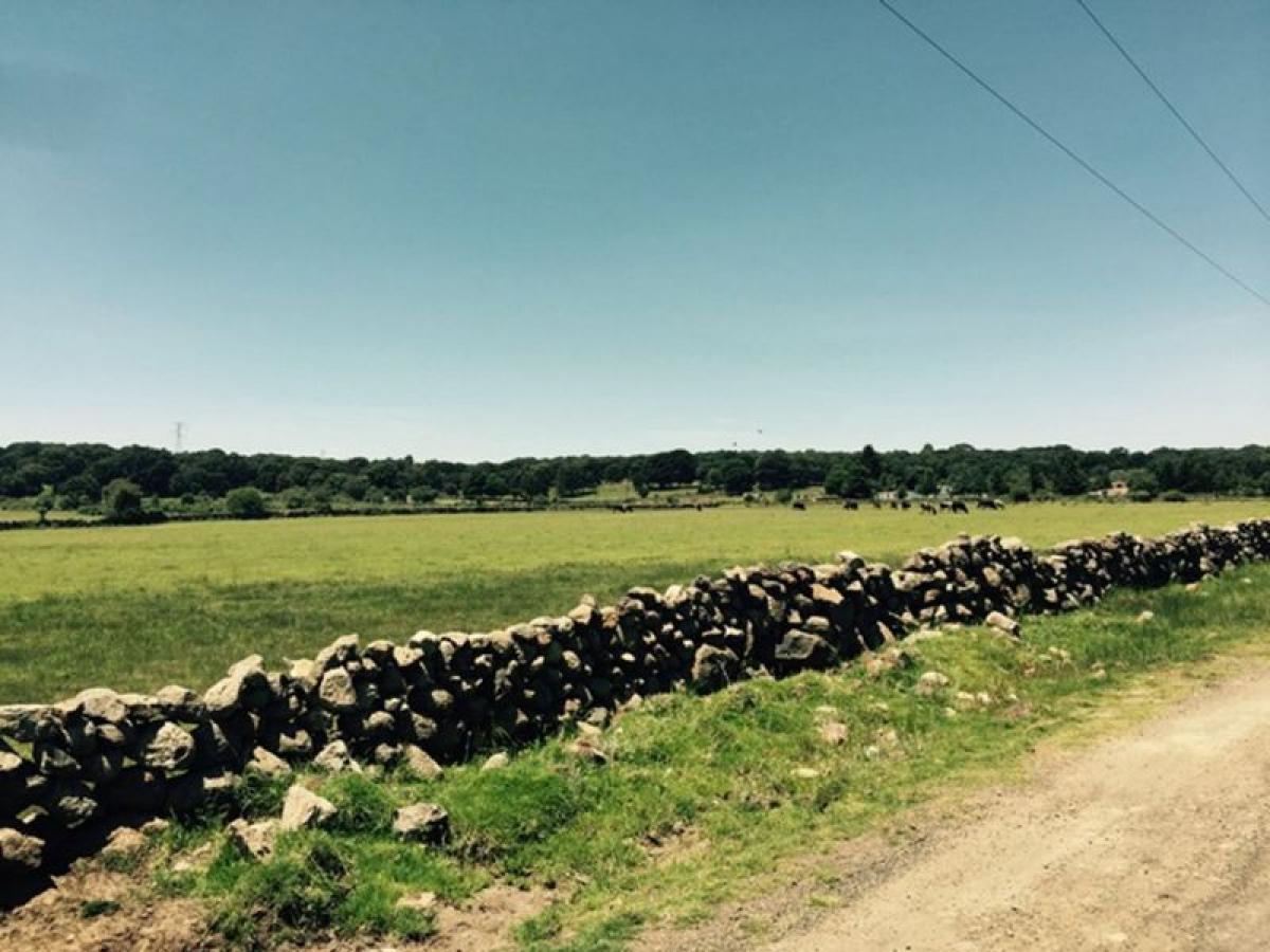 Grundstück in Ixtapaluca, Mexico, Nr. 206441