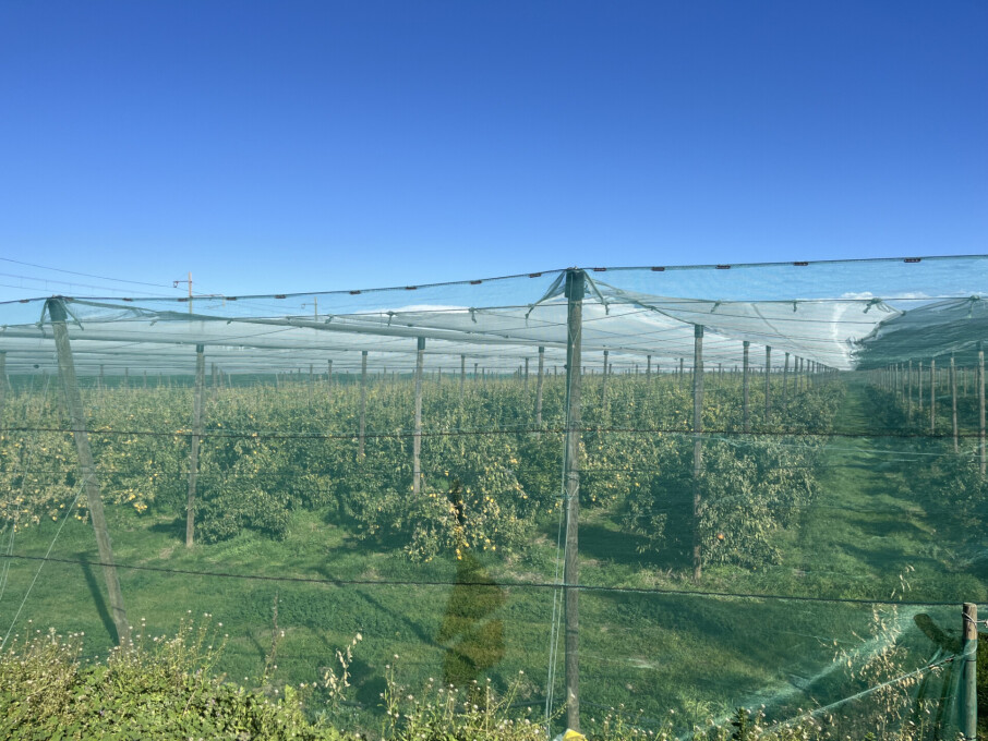 5 rooms Land in Elne, France No. 325055