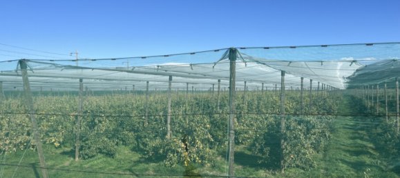 5 rooms Land in Elne, France No. 325055 2