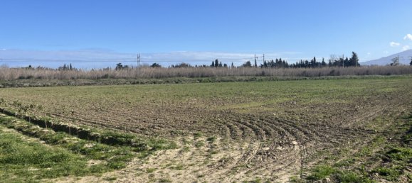 5 rooms Land in Elne, France No. 325055 3