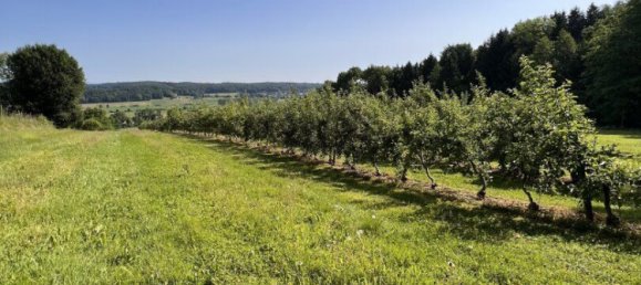  قطعة أرض في Ilz, Austria 12892متر مربع رقم 128126 9