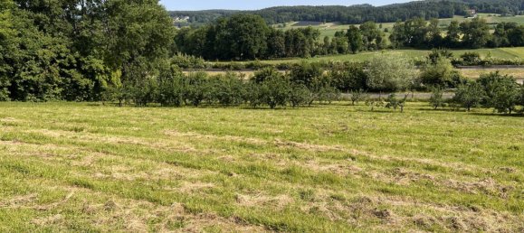  قطعة أرض في Ilz, Austria 12892متر مربع رقم 128126 8