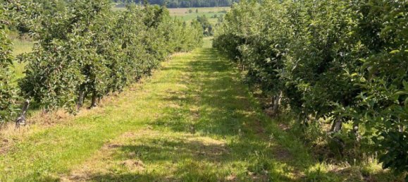  قطعة أرض في Ilz, Austria 12892متر مربع رقم 128126 3