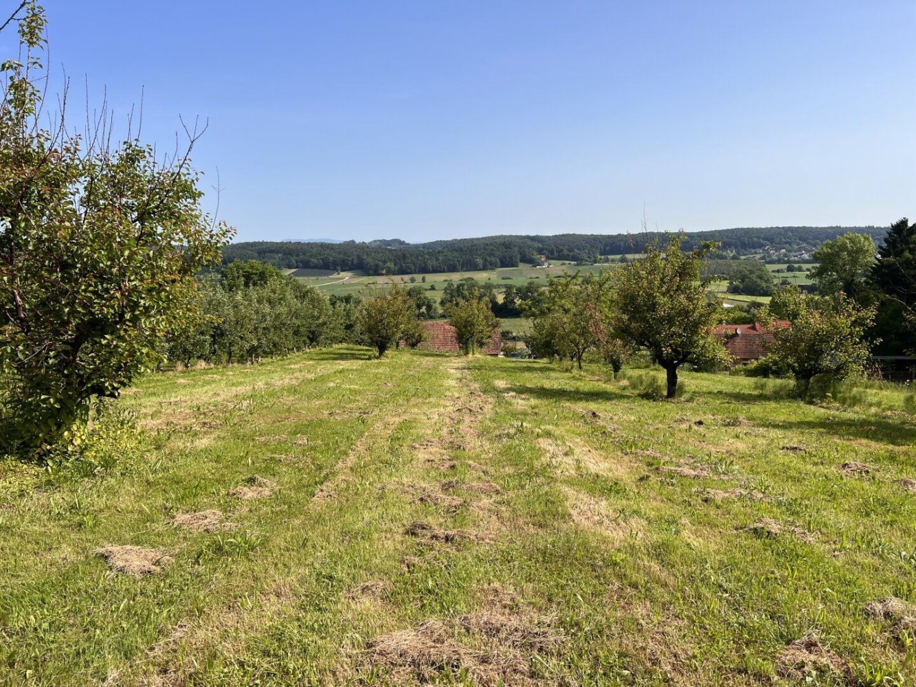  قطعة أرض في Ilz, Austria 12892متر مربع رقم 128126