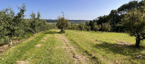  قطعة أرض في Ilz, Austria 12892متر مربع رقم 128126 2