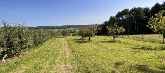  قطعة أرض في Ilz, Austria 12892متر مربع رقم 128126 13