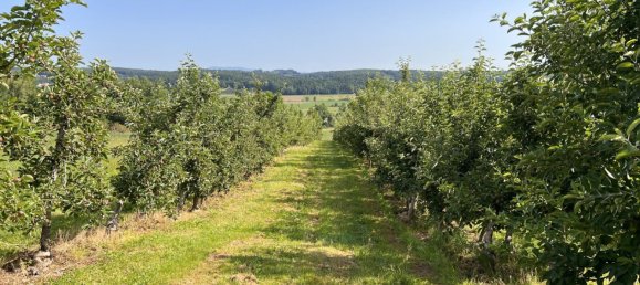  قطعة أرض في Ilz, Austria 12892متر مربع رقم 128126 10