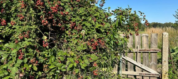 Casa de 8 divisões em Saxony, Germany N.º 267388 22