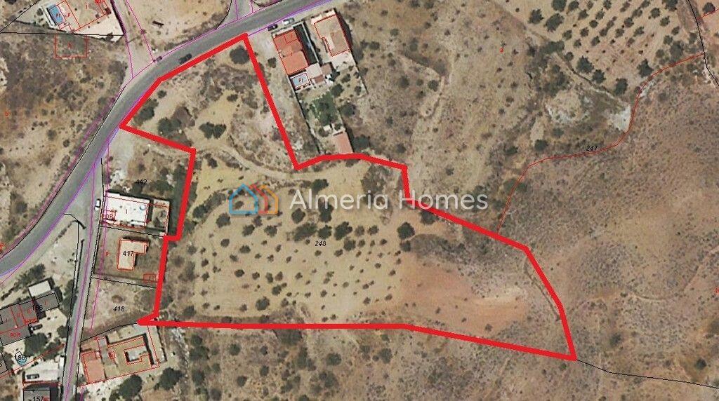 9841m² Land in Albox, Spain No. 174055