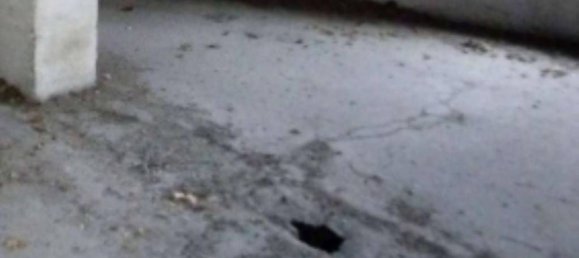 919m² Commercial property in Udine, Italy No. 380928 5