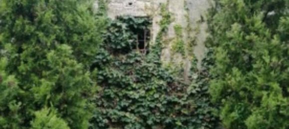 919m² Commercial property in Udine, Italy No. 380928 4