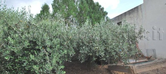 Casa de 1 dormitorio en Santa Marina Salina, Italy No. 155965 6