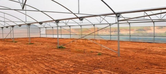 101520m² Land in Guia, Portugal No. 316773 2