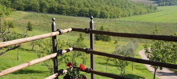 6 bedrooms House in Rapolano Terme, Italy No. 56395 23