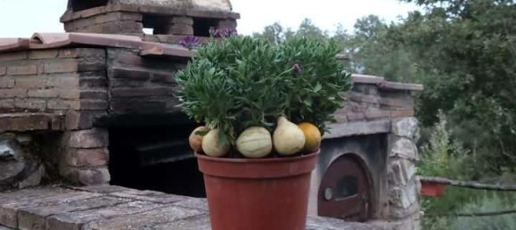 6 bedrooms House in Rapolano Terme, Italy No. 56395 7