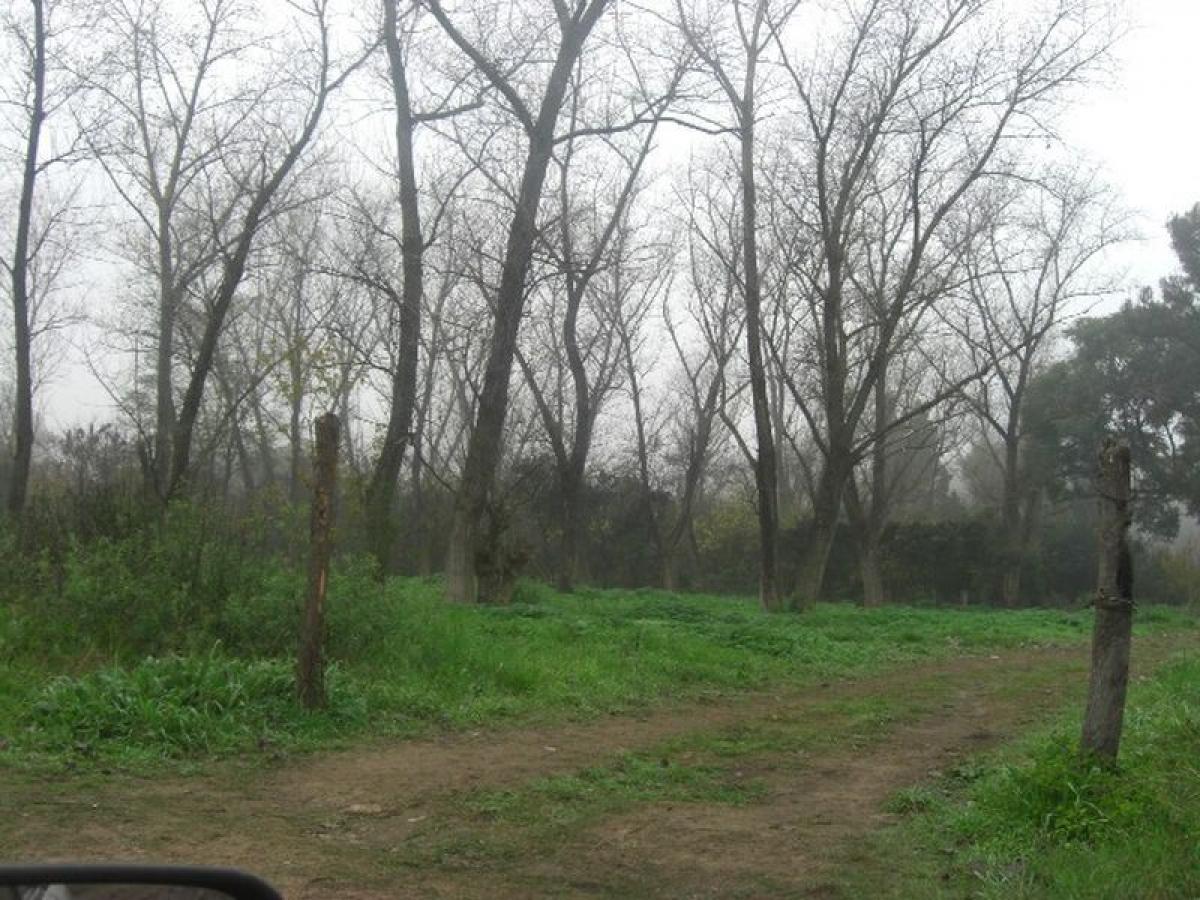 Terrain à Pilar, Argentina No. 34999