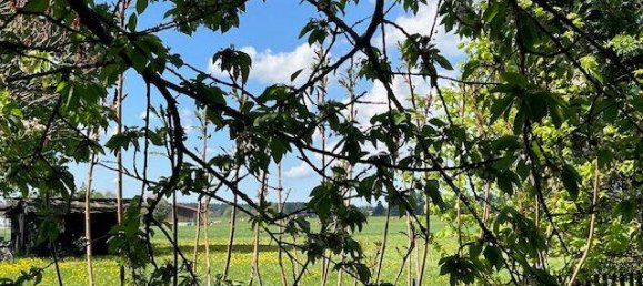 Casa de 5 habitaciónes en Miesbach, Germany No. 235920 5