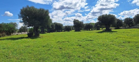  قطعة أرض في Polignano a Mare, Italy 35173متر مربع رقم 371950 3