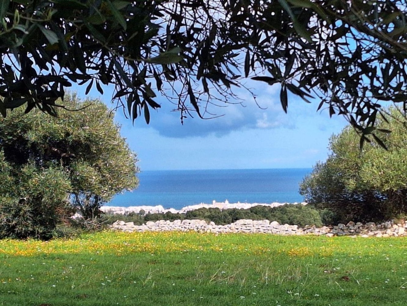  قطعة أرض في Polignano a Mare, Italy 35173متر مربع رقم 371950