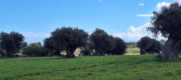  قطعة أرض في Polignano a Mare, Italy 35173متر مربع رقم 371950 21