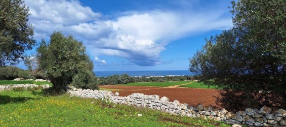  قطعة أرض في Polignano a Mare, Italy 35173متر مربع رقم 371950 20