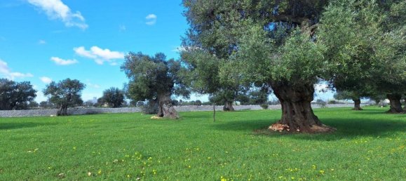  قطعة أرض في Polignano a Mare, Italy 35173متر مربع رقم 371950 5