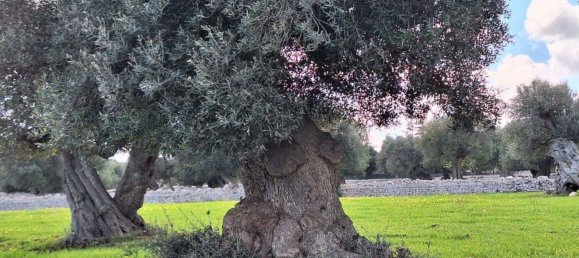  قطعة أرض في Polignano a Mare, Italy 35173متر مربع رقم 371950 19