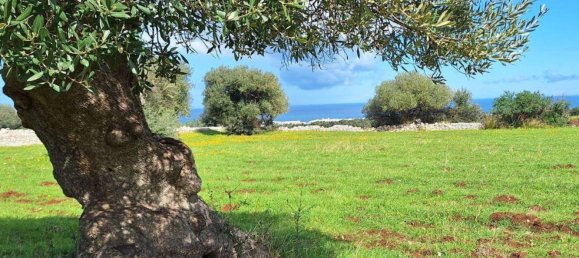  قطعة أرض في Polignano a Mare, Italy 35173متر مربع رقم 371950 8