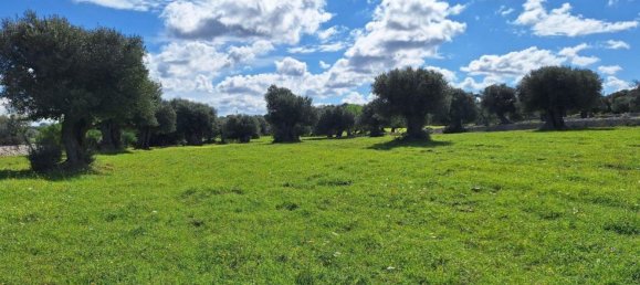  قطعة أرض في Polignano a Mare, Italy 35173متر مربع رقم 371950 17