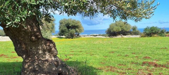  قطعة أرض في Polignano a Mare, Italy 35173متر مربع رقم 371950 14