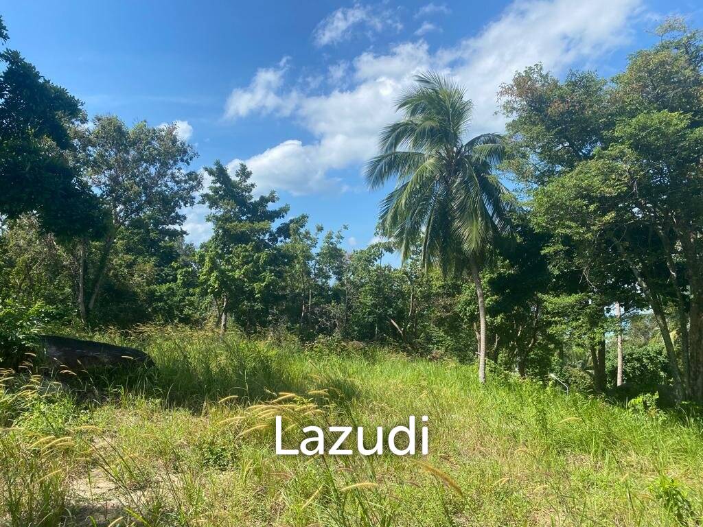  Commercial property in Wiang Sa, Thailand No. 13797