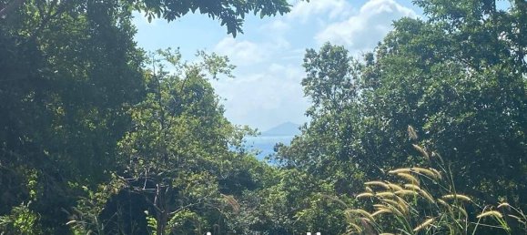  Commercial property in Wiang Sa, Thailand No. 13797 3