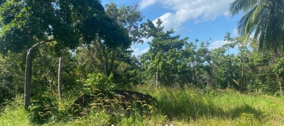  Commercial property in Wiang Sa, Thailand No. 13797 10