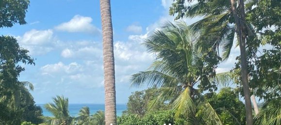  Commercial property in Wiang Sa, Thailand No. 13797 2