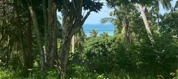  Commercial property in Wiang Sa, Thailand No. 13797 4