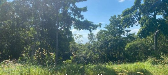  Commercial property in Wiang Sa, Thailand No. 13797 8