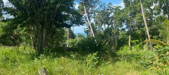  Commercial property in Wiang Sa, Thailand No. 13797 5