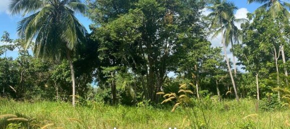  Commercial property in Wiang Sa, Thailand No. 13797 9