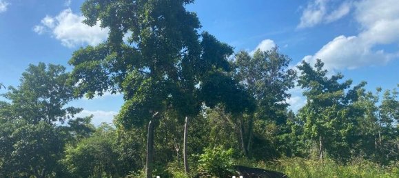  Commercial property in Wiang Sa, Thailand No. 13797 6