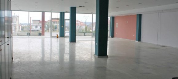 Недвижимость 900м² в Катерини, Пиерия, Центральная Македония, Македония и Фракия, Греция № 6494 4